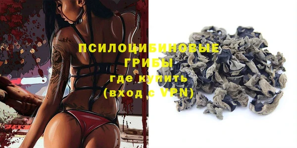 дживик Киренск