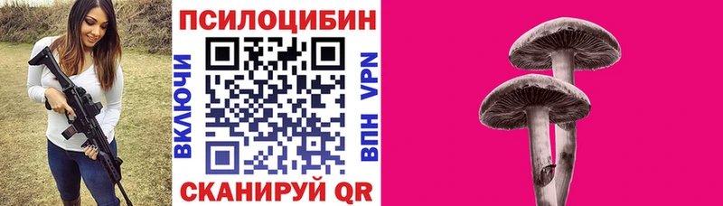наркошоп  Чкаловск  Галлюциногенные грибы Cubensis 