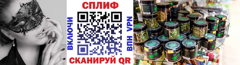 Марихуана планчик  купить наркоту  Чкаловск 